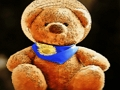 თამაში Plush teddy დათვი ონლაინ