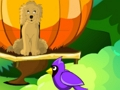 თამაში ონლაინ თამაში Blossom Garden Escape  ონლაინ