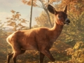 თამაში Safari Jeep Car Parking Sim: Jungle Adventure ონლაინ