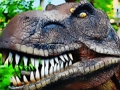 თამაში Tyrannosaurus rex carnivore jigsaw ონლაინ