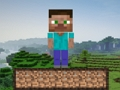 თამაში Minecraft Survival  ონლაინ