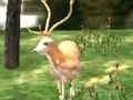 თამაში Animal Safari Hunter 2020 ონლაინ