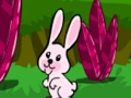 თამაში ონლაინ თამაში Hopping Rabbit Escape  ონლაინ