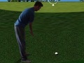 თამაში Flash Golf 3D  ონლაინ