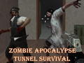 თამაში Zombie Apocalypse გვირაბის გადარჩენა  ონლაინ