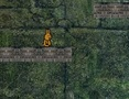 თამაში Bunny Adventure  ონლაინ