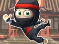 თამაში სუპერ Ninja სათავგადასავლო  ონლაინ