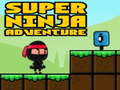 თამაში სუპერ სათავგადასავლო Ninja  ონლაინ