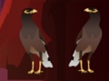 თამაში თამაში Peikin Duck Escape  ონლაინ