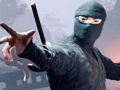 თამაში შეეხეთ Ninja  ონლაინ