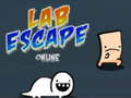 თამაში Lab Escape ონლაინ  ონლაინ