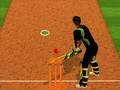 თამაში Cricket Batter გამოწვევა  ონლაინ