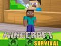 თამაში Minecraft Survival ონლაინ