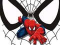 თამაში Spiderman მატჩის ბარათები  ონლაინ