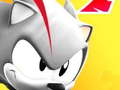 თამაში Sonic მეტროს სუპერ რაში  ონლაინ