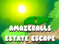 თამაში AmazeBalls Estate Escape ონლაინ