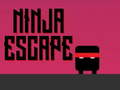 თამაში Ninja გაქცევა  ონლაინ