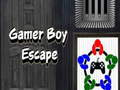 თამაში Gamer boy გაქცევა ონლაინ