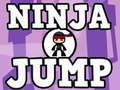 თამაში Ninja ნახტომი ონლაინ