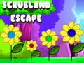 თამაში Scrubland გაქცევა ონლაინ