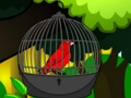 თამაში გადარჩენა Cage Bird  ონლაინ
