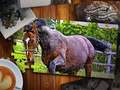 თამაში Jigsaw Puzzle Horses Edition ონლაინ