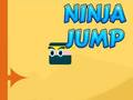 თამაში Ninja ნახტომი ონლაინ