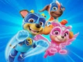 თამაში საღებარი წიგნი Paw Patrol-ისთვის  ონლაინ