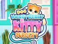 თამაში Doc Honeyberry Kitty ოპერაცია ონლაინ