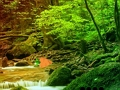 თამაში მშვიდობიანი Rainbow Forest Escape  ონლაინ