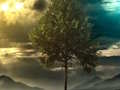 თამაში ილუზია Jungle Fairy Escape  ონლაინ