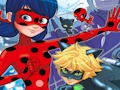 თამაში Ladybug იპოვეთ განსხვავებები  ონლაინ