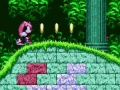 თამაში Mighty & Ray Sonic 2-ში  ონლაინ
