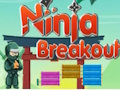 თამაში Ninja Breakout ონლაინ