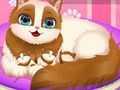 თამაში Cute Kitty ორსული  ონლაინ