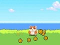 თამაში Hamster Kombat Clicker ონლაინ