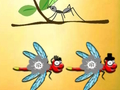 თამაში იპოვნეთ Dragonfly Cooper  ონლაინ