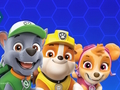 თამაში Paw Patrol ონლაინ