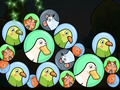 თამაში Dream Pet შერწყმა  ონლაინ