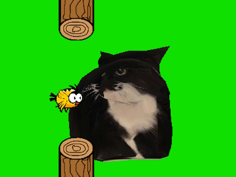 თამაში Flappy ფრინველის spinning oia oia cat  ონლაინ