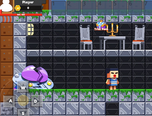 თამაში Minecraft Blockman Go ონლაინ