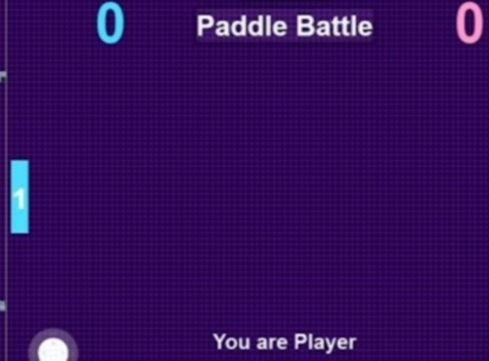 თამაში Paddle Battle  ონლაინ