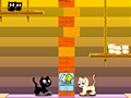 თამაში Kocani cats ონლაინ